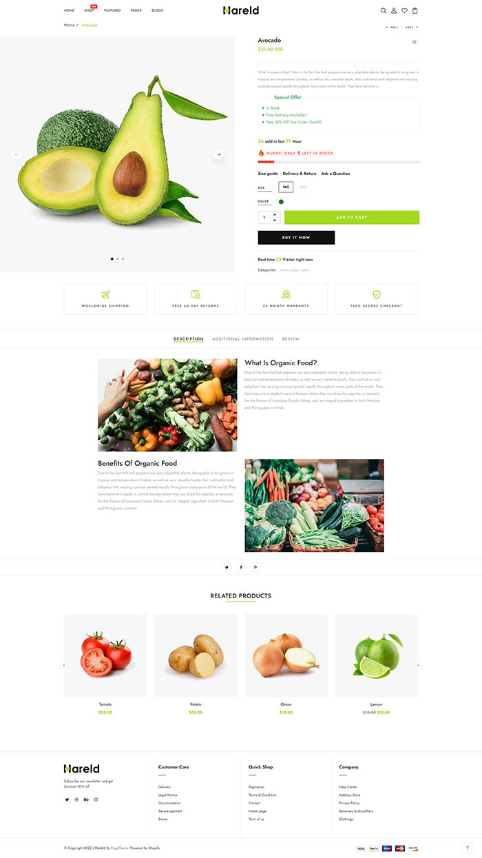 Layout Scroll