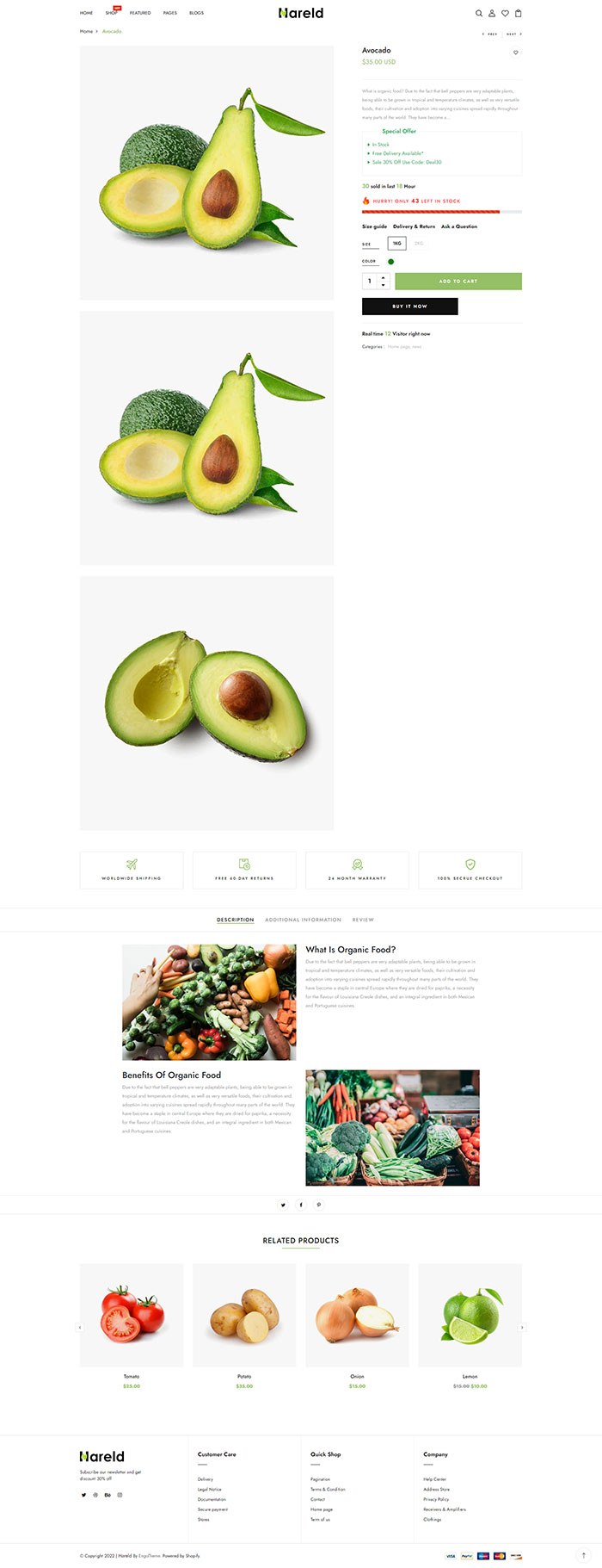 Layout Sticky